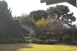 carlsbad pet friendly vacation rentals in carlsbad california