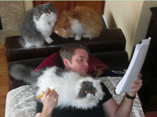 pet friendly vacation rentals in taos new mexico