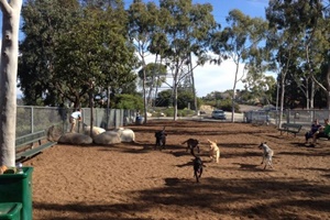 Pet friendly dog park in Taos, New Mexico: Kit Carson memorial State Park