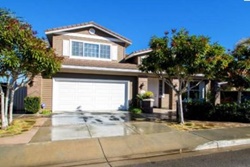 carlsbad pet friendly vacation rentals in carlsbad california