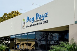 Pet day care in Carlsbad, California, Dog Dayz of California