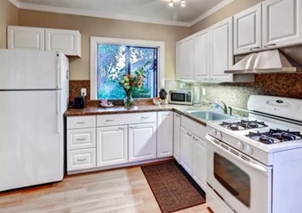 carlsbad pet friendly vacation rentals in carlsbad california