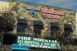 pet friendly veterinarians in carlsbad california, vets in carlsbad Fire Mountain Veterinary Hospital