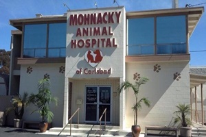 vet in Carlsbad, Mohnacky Animal Hospital