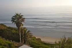 carlsbad pet friendly vacation rentals in carlsbad california