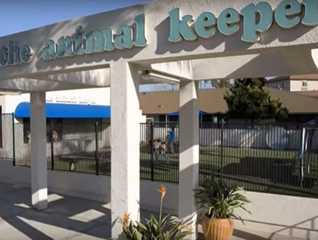Pet day care near Carlsbad, california doggie day camp